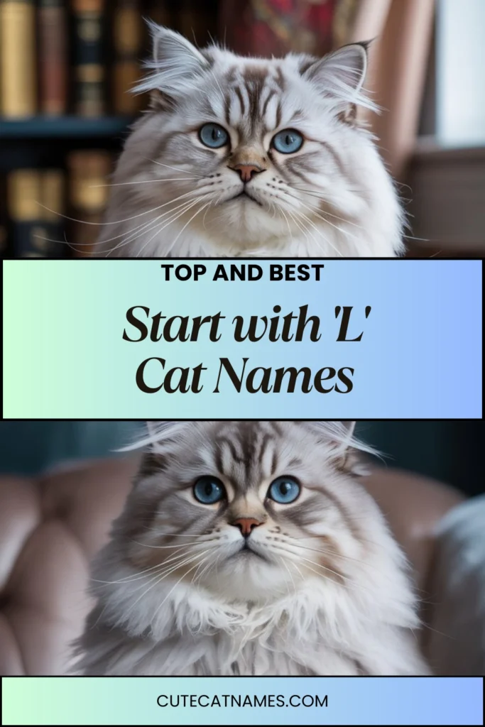Cat Names That Start with 'L'