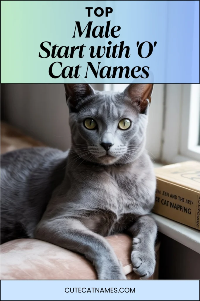 Male Cat Names That Start with 'O'