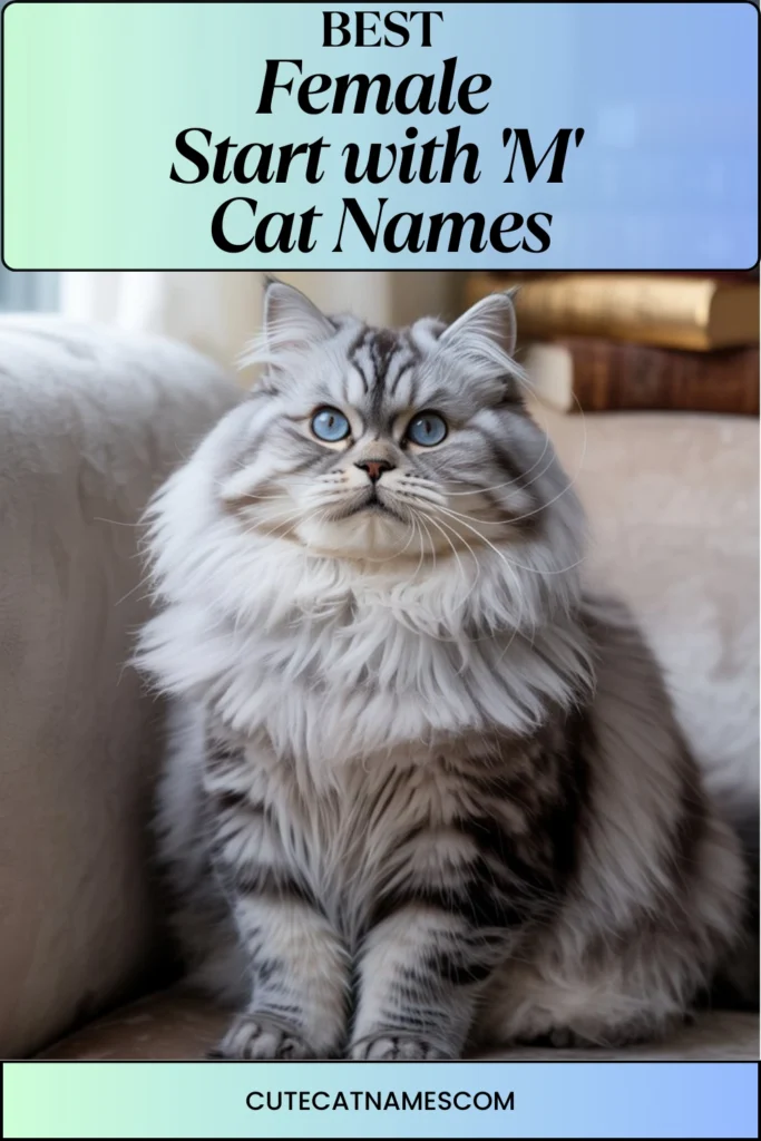 Female Cat Names That Start with 'M'