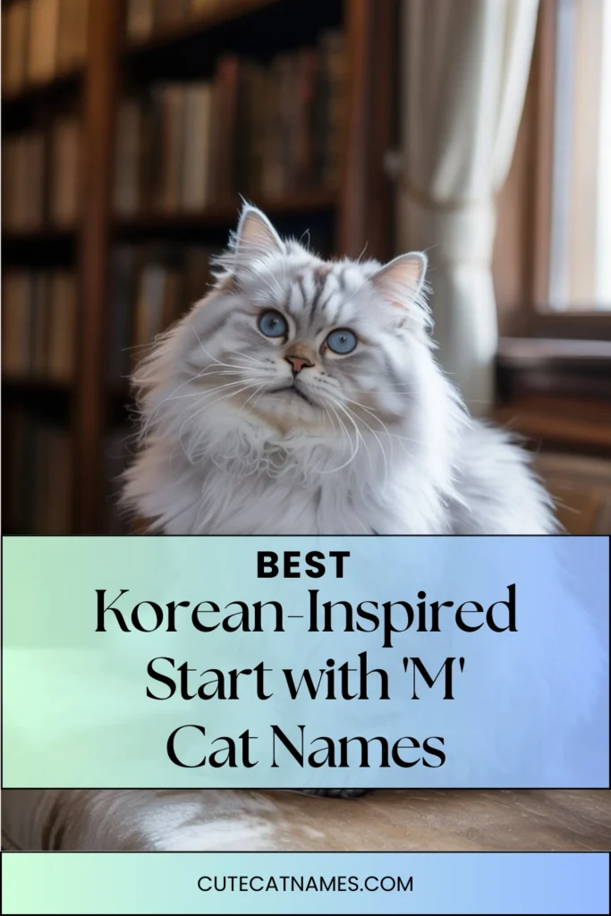 Korean-Inspired 'M' Cat Names