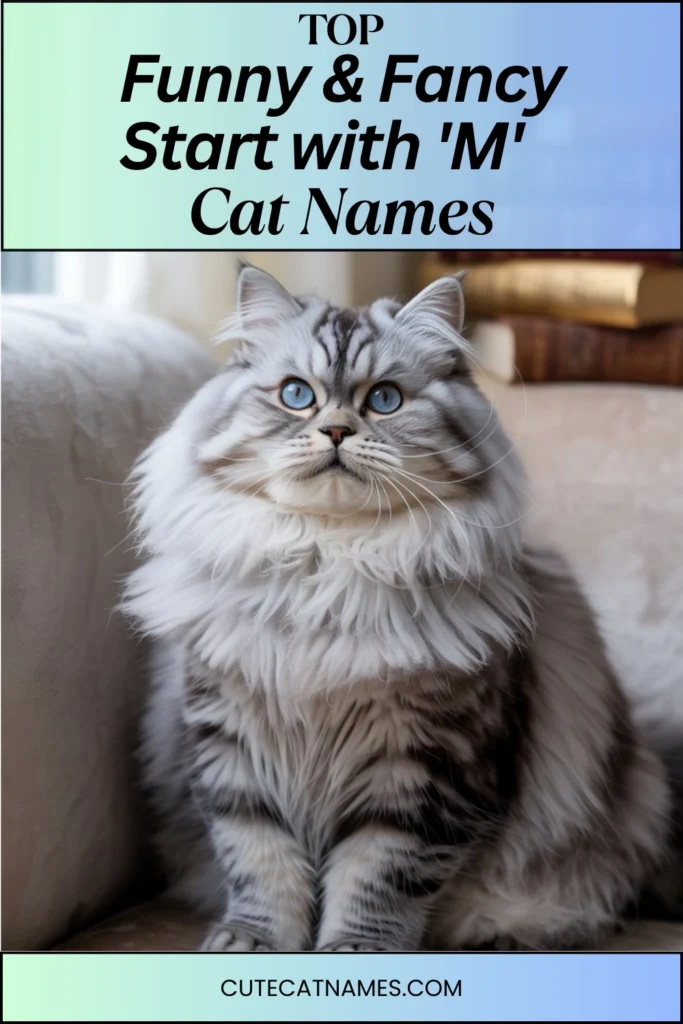 Funny & Fancy 'M' Cat Names