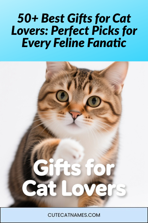 Best Gifts for Cat Lovers